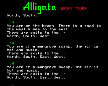 Ebony Tower (19xx)(Alligata)[h TSTH] screen shot game playing